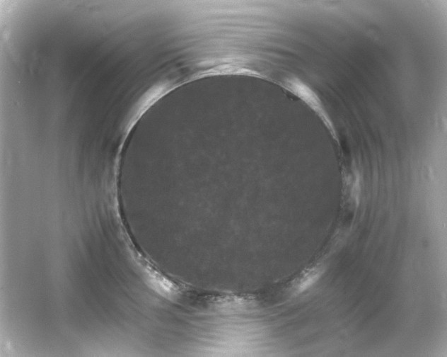 X0000066541002200603201421