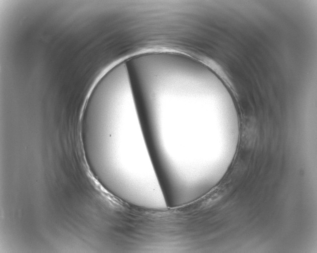 X0000066541004200603201421