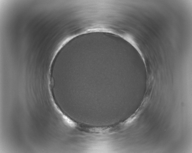 X0000066541005200603201421