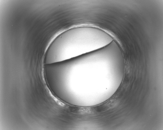 X0000066541006200603201421