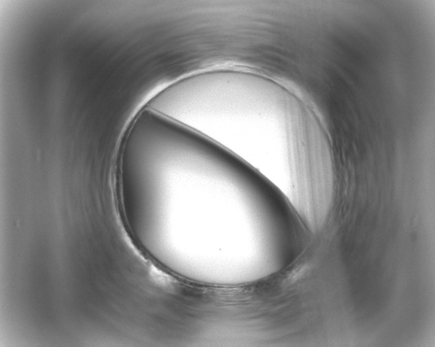 X0000066541007200603201421