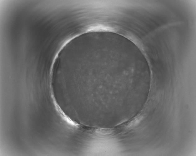 X0000066541008200603201421