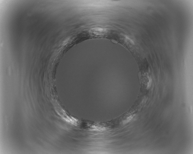 X0000066541009200603201420