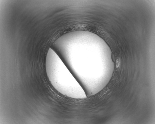 X0000066541011200603201420