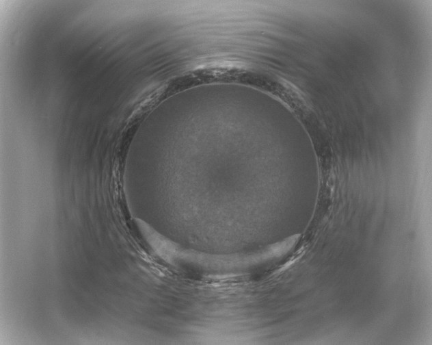 X0000066541014200603201420