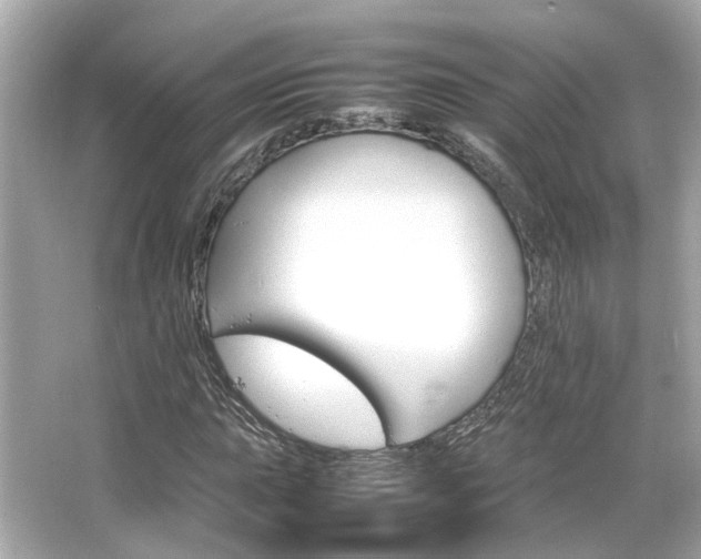 X0000066541015200603201420