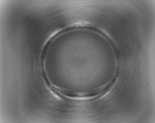 X0000066541018200603201420