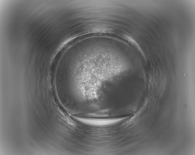 X0000066541019200603201420