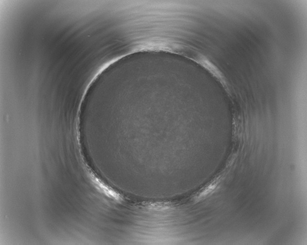 X0000066541020200603201420