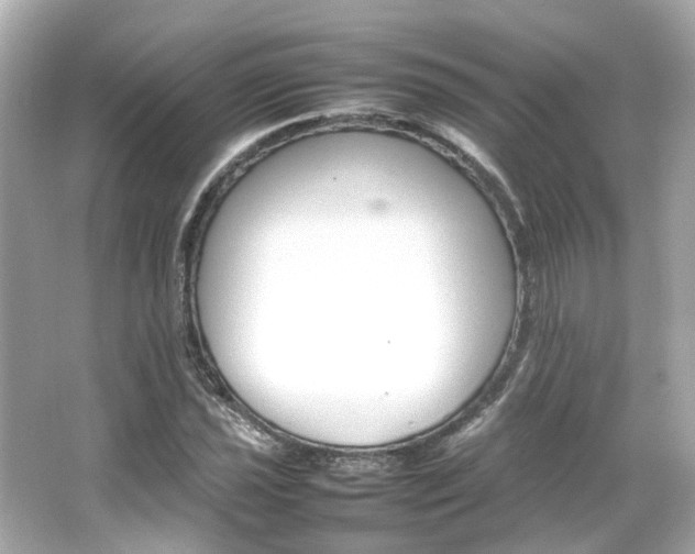 X0000066541021200603201420