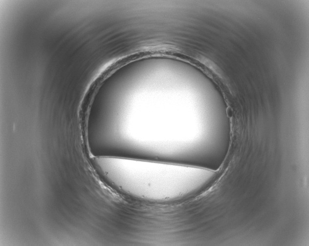 X0000066541022200603201420