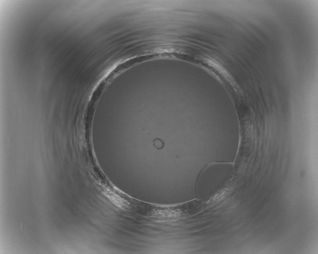 X0000066541023200603201420