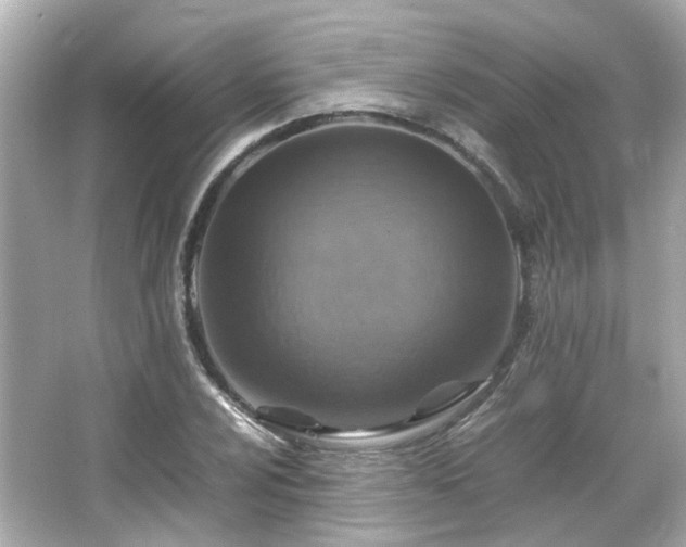 X0000066541024200603201420