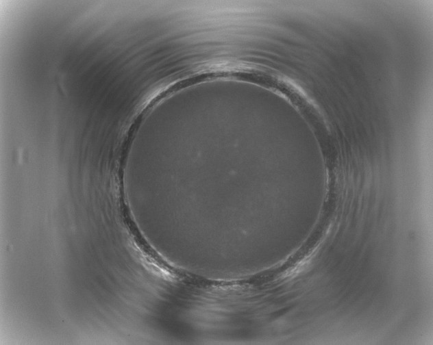 X0000066541025200603201420