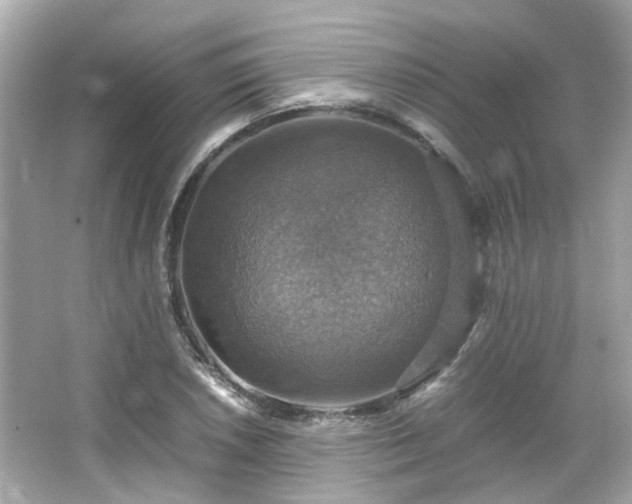 X0000066541026200603201420