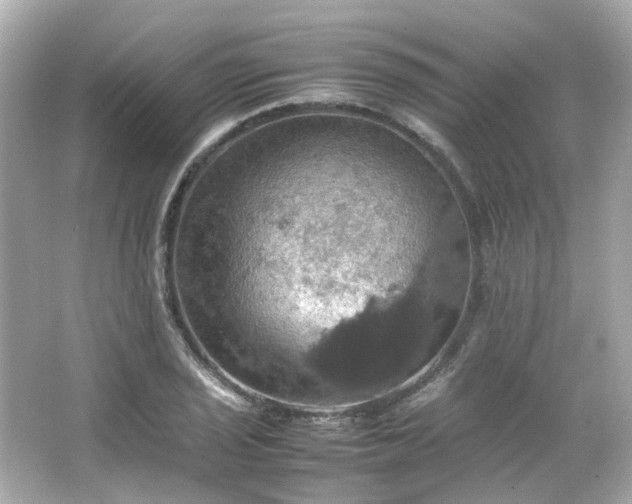 X0000066541029200603201420