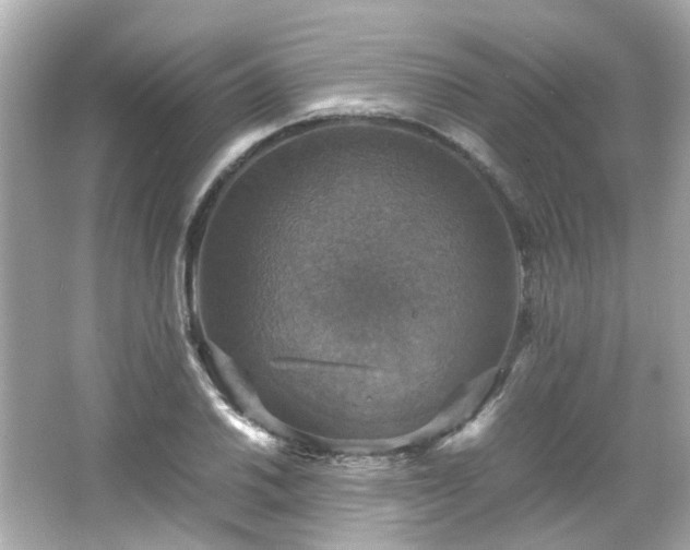 X0000066541030200603201420