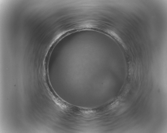 X0000066541031200603201420