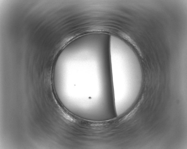 X0000066541033200603201420