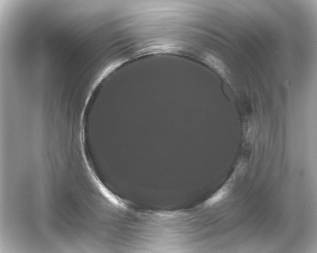 X0000066541034200603201420