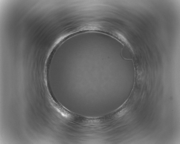 X0000066541035200603201420