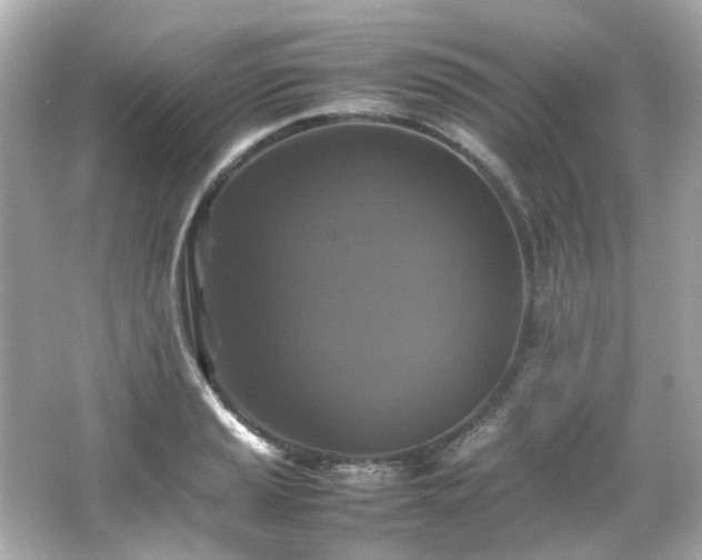 X0000066541037200603201420