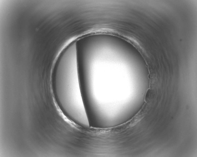 X0000066541038200603201420