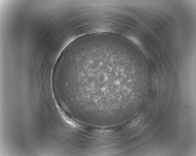 X0000066541039200603201420