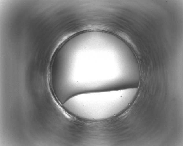 X0000066541040200603201420