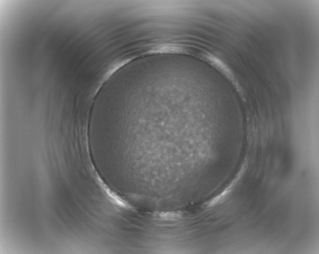 X0000066541041200603201420