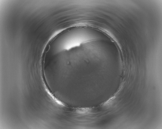 X0000066541045200603201420