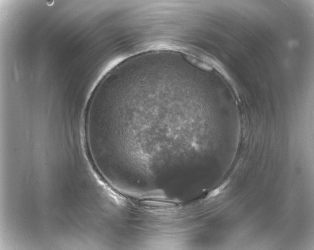 X0000066541048200603201420