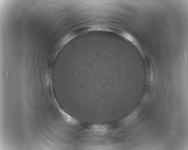 X0000066541049200603201421