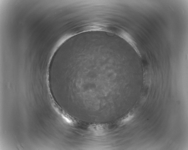 X0000066541051200603201421