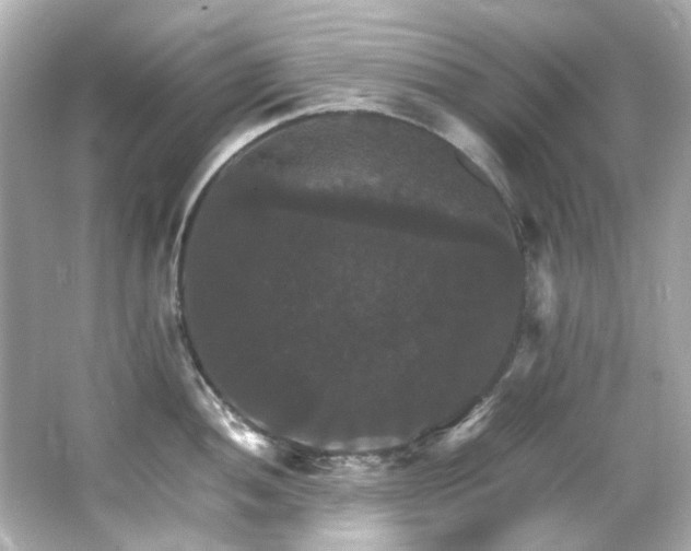 X0000066541052200603201421