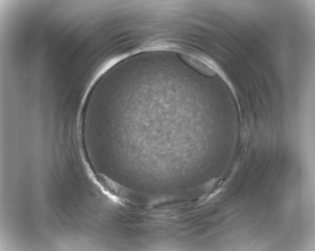 X0000066541053200603201421