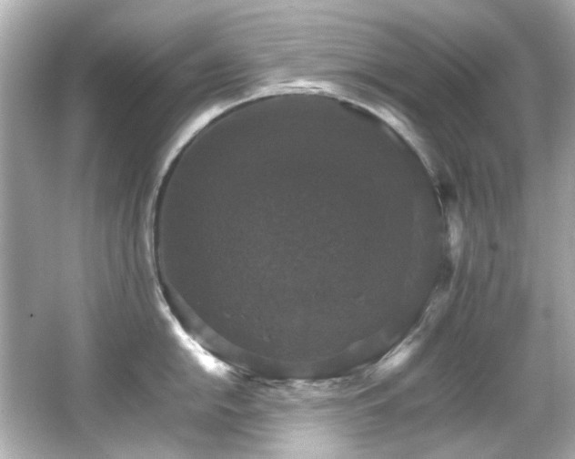 X0000066541054200603201421