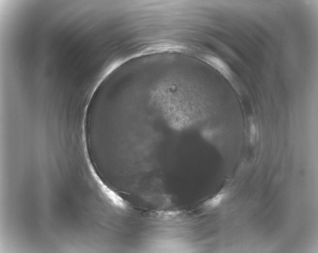 X0000066541055200603201421