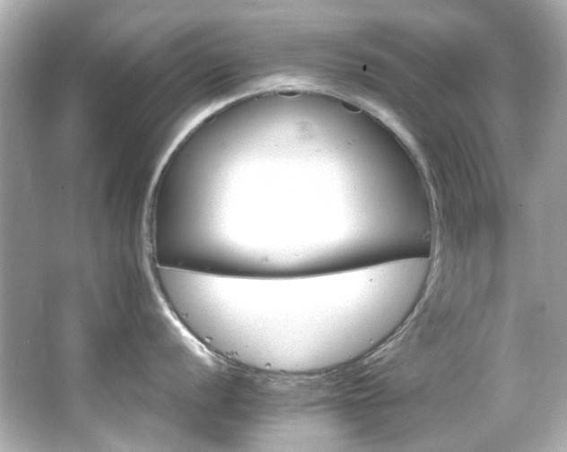 X0000066541056200603201421