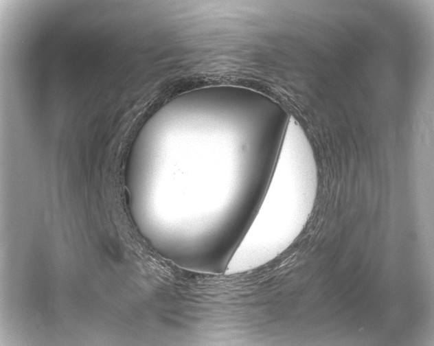 X0000066541057200603201420