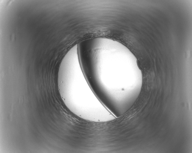 X0000066541058200603201420