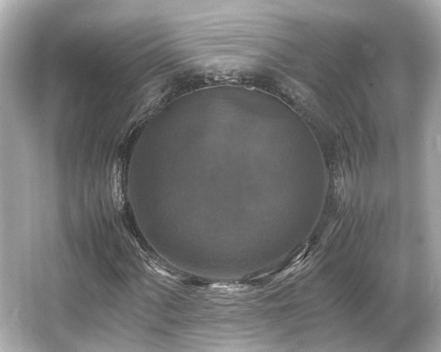 X0000066541060200603201420