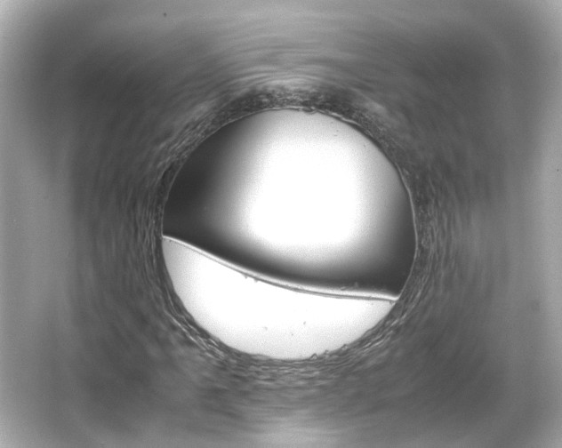 X0000066541061200603201420