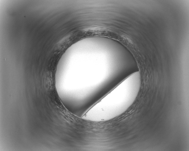 X0000066541062200603201420