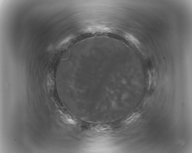 X0000066541063200603201420