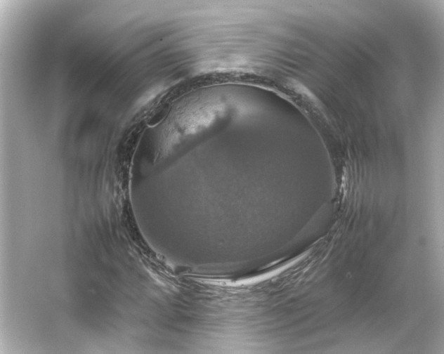 X0000066541064200603201420