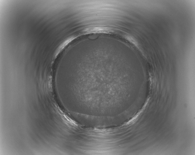 X0000066541066200603201420