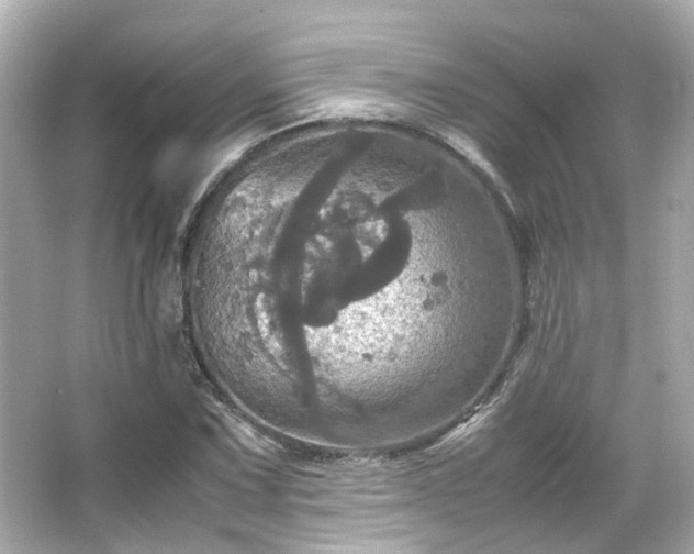 X0000066541067200603201420