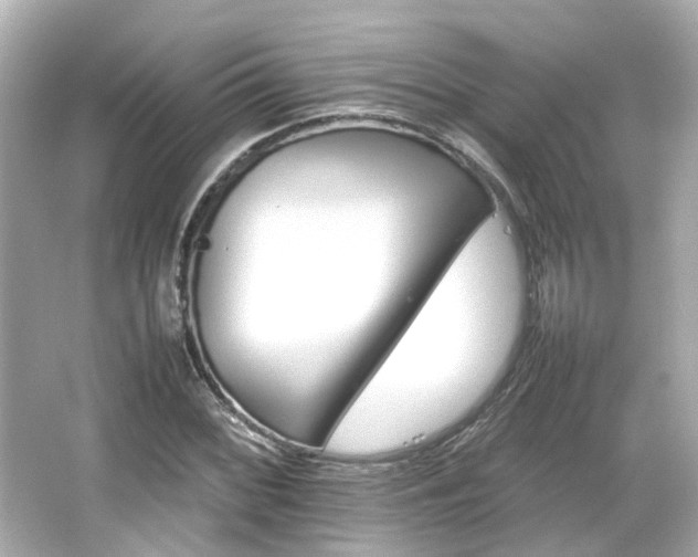 X0000066541068200603201420