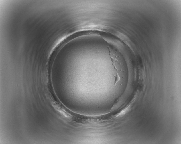 X0000066541069200603201420